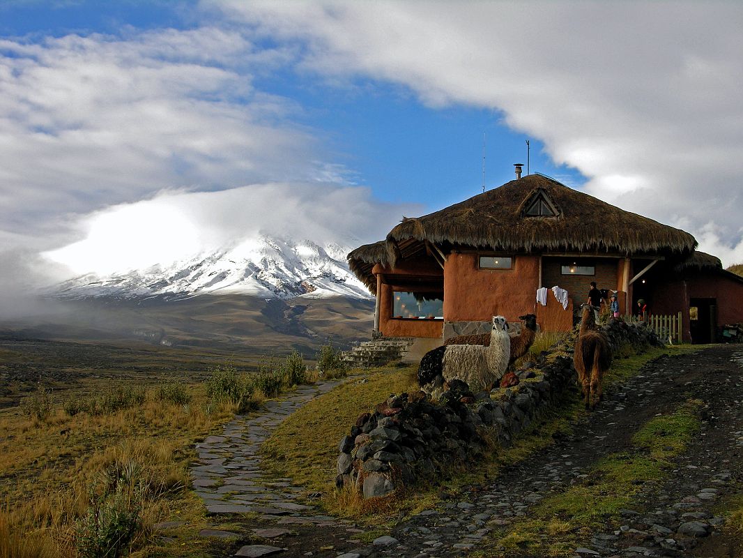 Cotopaxi And Chimborazo Photo Gallery